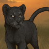 Melanism Tigon